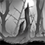 Dark forest background asset store icon